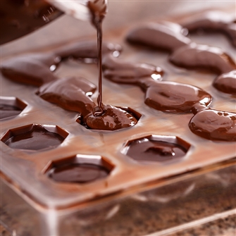 chocolate mould price